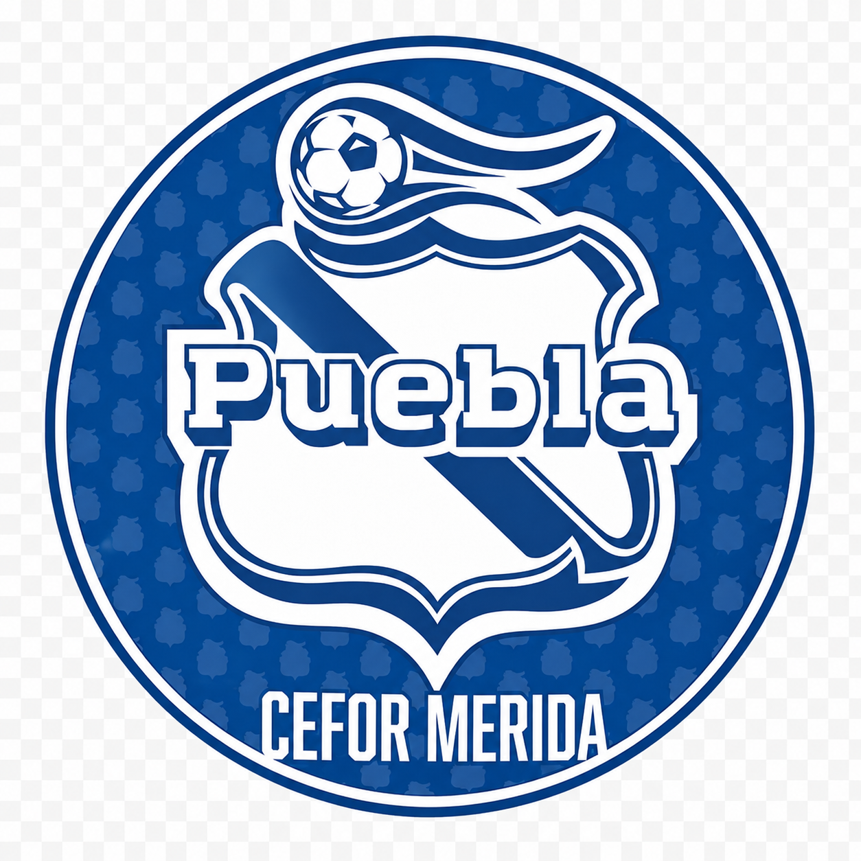CEFOR PUEBLA